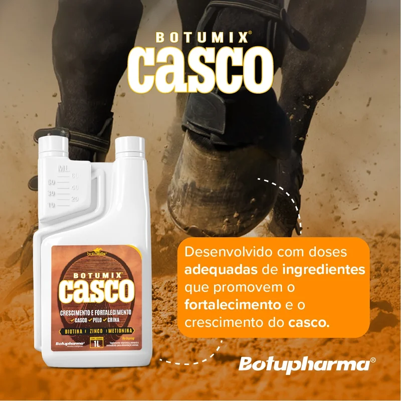 casco1